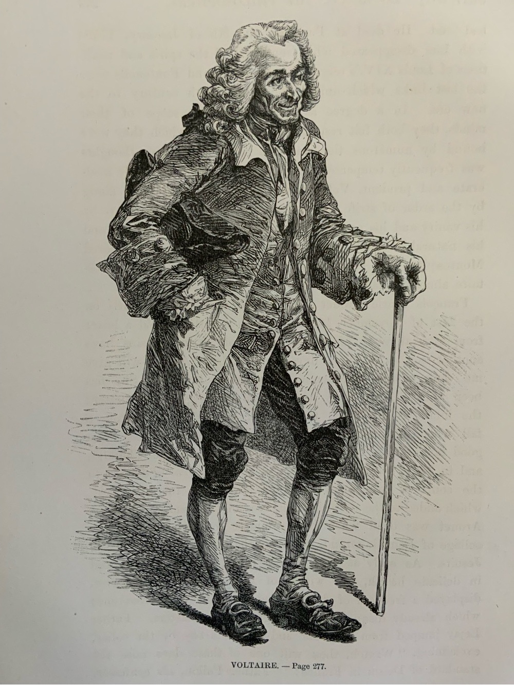 Voltaire Antique Illustration